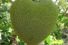 2022全球最佳国家排名出炉图片