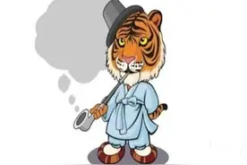 关于生肖的那点事，从性格看老虎对谁最长情？对谁最无情？图片