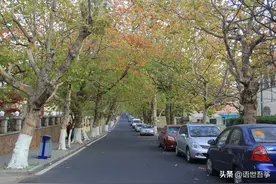 我所了解的青岛车牌鲁B鲁U之别图片