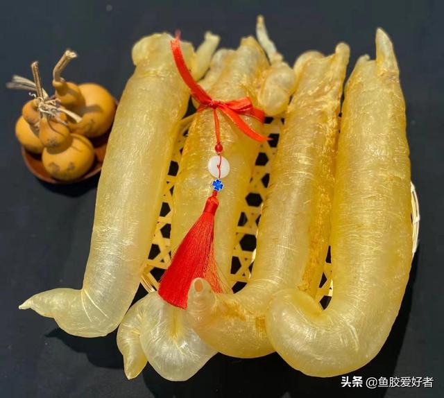 哪种花胶比较好呢 哪一种花胶比较好