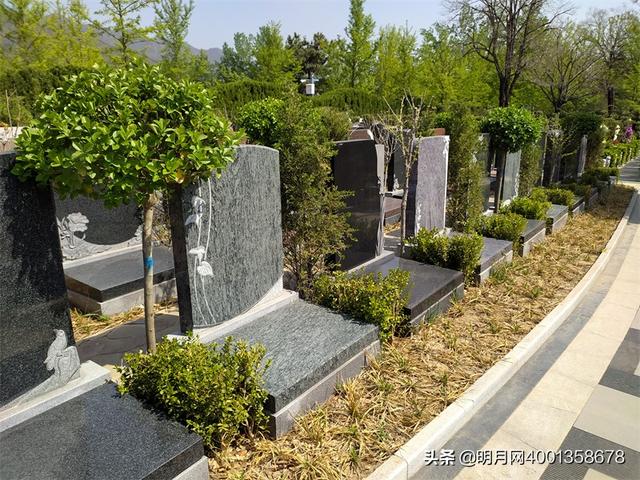 如何选墓地位置「公墓最佳位置图解」