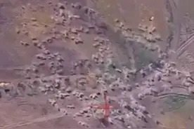 俄军车队犯下大错，海马斯在头顶凌空爆炸，72万颗钢珠炸死上百人图片