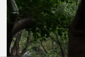 且向山水觅心安。图片