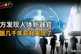 科学家证实人体内有隐形器官？中医几千前通过反观内视早就发现了图片