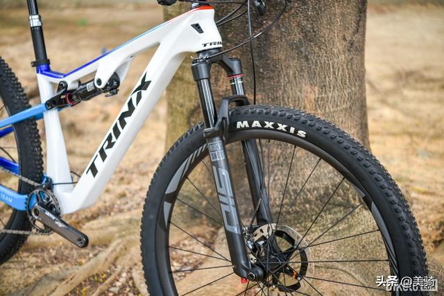 千里达木 千里达木香烟(图14)