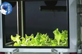 各国PK太空种菜也很卷？一文带你快速梳理太空种植知识点图片