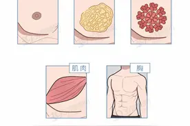 男性的乳头是用来干嘛的？除了区分“正反面”，还有这4个作用图片