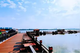 报名丨京津冀第五届滹沱河公开水域游泳挑战赛火爆来袭图片