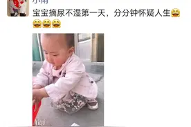 大宝的戒尿不湿之路图片