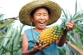 “康仔农人”半年涨千万粉，做视频只是副业，难怪他们不带货图片