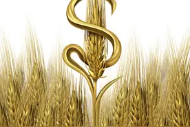 2021年中央粮食补贴增加了二次粮补，河北二次粮补每亩是这么多图片