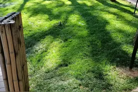 怀疑自己被绿了图片