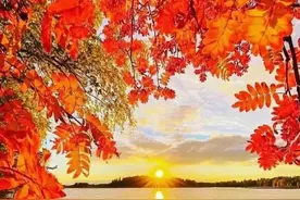 ＃反流性食管炎#调养日记图片