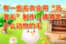 有一些毛衣会用“马海毛”制作，猜猜是什么动物的毛？蚂蚁庄园图片