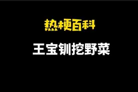 「热梗百科」“​王宝钏挖野菜”是什么梗？图片