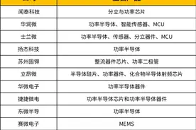 IDM的进与退图片