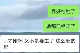 怀孕了是该继续上班，还是辞工在家养胎呢？图片