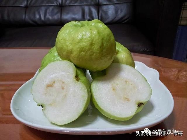 小众水果芭乐，又被茶饮店们带火了，最全芭乐说明书