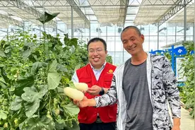 走在前开新局 | 擘画乡村振兴新画卷图片