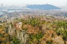 1984年，江苏山洞惊现半米小人，专家紧急赶往，发现竟是汉代军队图片