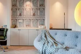 上海独居姑娘20w搞定40m²一室一厅图片