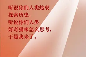 首轮售罄 | 新空间剧场《猫神在故宫》驻演今日全网开启！图片