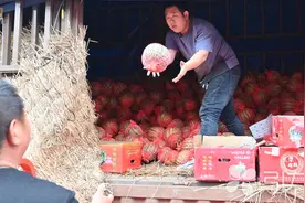 苏州市场西瓜大量上市，你开吃了吗？整体价格已经下降了图片