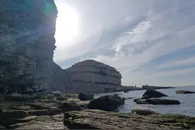 牡蛎与藤壶，不同海域的吸附类海鲜图片