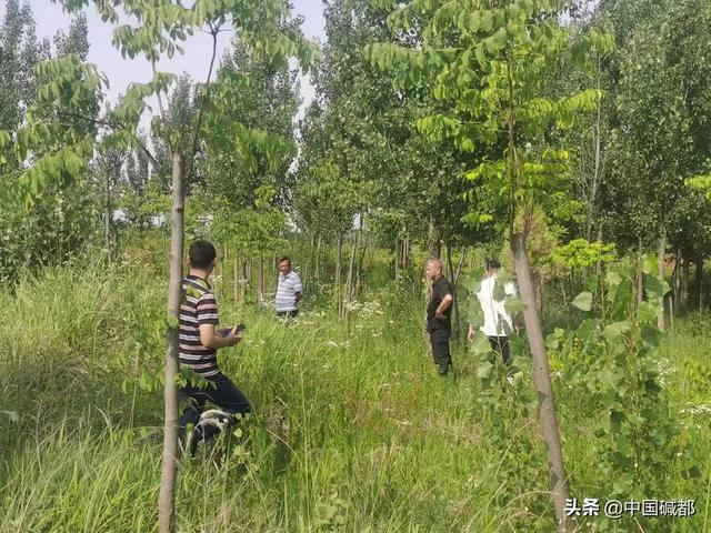 高效推进项目征地工作 助力优化营商环境