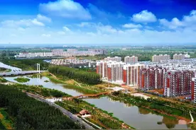 山东金乡县至今不通铁路，这里是大蒜之乡，眼下正是提蒜苔的旺季图片