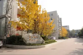 不容忽视的，金牛区！图片