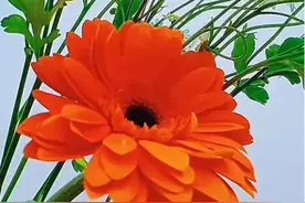 有一种幸运，叫遇见你真好；有一种爱，叫天长地久图片