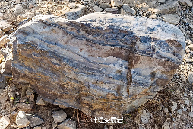 沉积岩有哪些(沉积岩有哪些岩石)