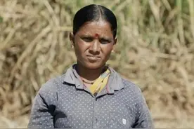 印度悲惨“甘蔗女”，想要工作先割子宫，让人背脊发凉的职业图片