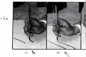 零基础学工笔白描 这个教程很实用图片