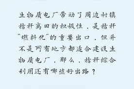 什么蘑菇长在秸秆上？有图有真相 | 一线调研录图片