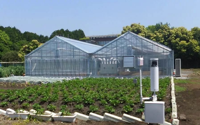 用高科技设备种菜年收入3000万,刘辉的农场到底有多炫酷?