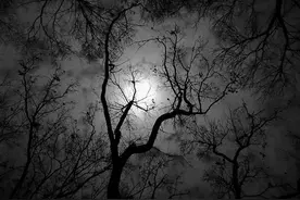 山洞里半夜频传“哭声”，村民花5千买下来，四年后赚的盆满钵满图片