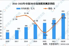 2022年中国医药外包行业市场前景及投资研究报告图片