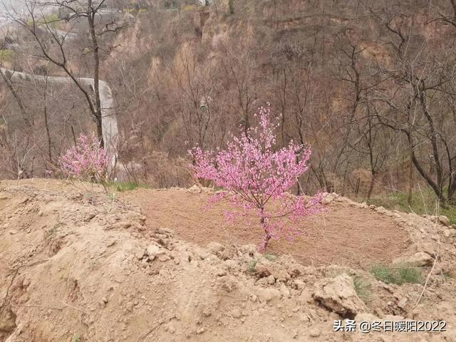 （情感美文）记忆深处的一块糖