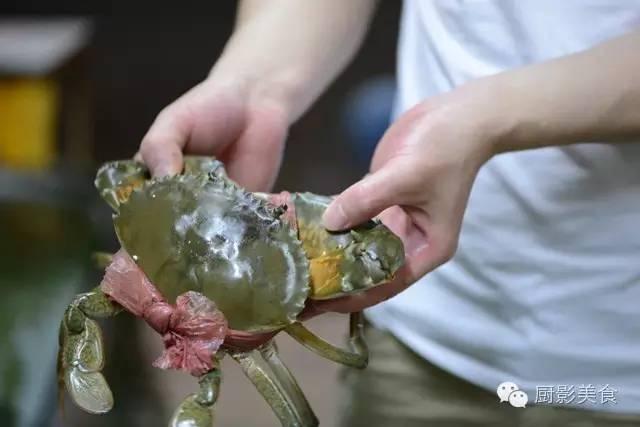 什么海鲜胶原蛋白最多 2025年海鲜含有胶原蛋白吗