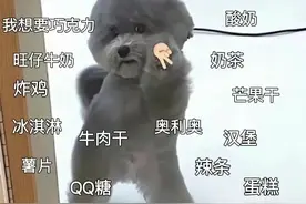 儿童节文案｜成年人也是过了期的小朋友图片