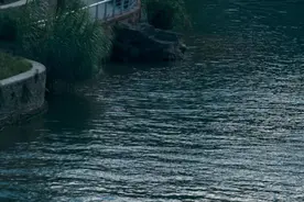 去买嘛，成都这两个楼盘的房子要卖3万多4万多图片