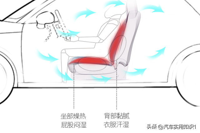 有必要给汽车装坐（座）垫吗？老司机告诉你真相