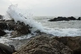 三岛由纪夫——被鲜血和黑夜成就与毁灭的怪异美学家图片