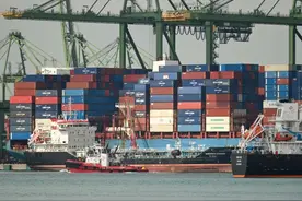 新加坡挺过来了？图片