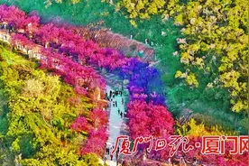 由绿向美！厦门园林绿地面积超16800公顷图片