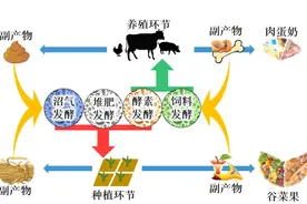 建立种养循环技术体系 成就零碳农业图片