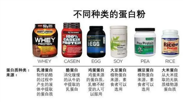 健身爱好者所说的神奇”蛋白粉”到底是什么？