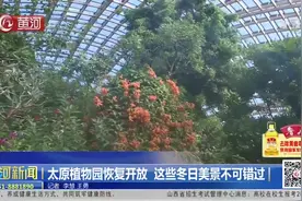 「视频」太原植物园恢复开放，园内这些冬日美景千万别错过图片